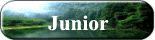 Junior